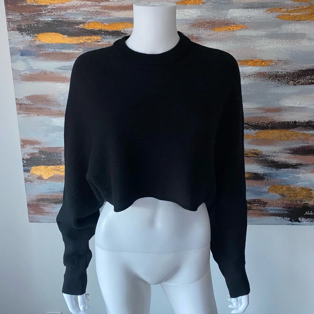 ARITZIA Wilfred Free Black Lolan Sweater - Picture 8 of 12